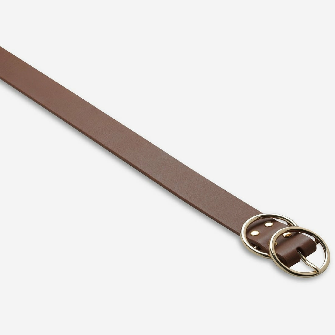 Status Anxiety Mislaid Belt - Little Extras Lifestyle Boutique