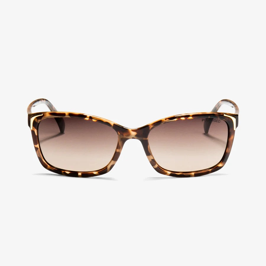 Locello Little Leticia II Sunglasses [COLOUR:Black]