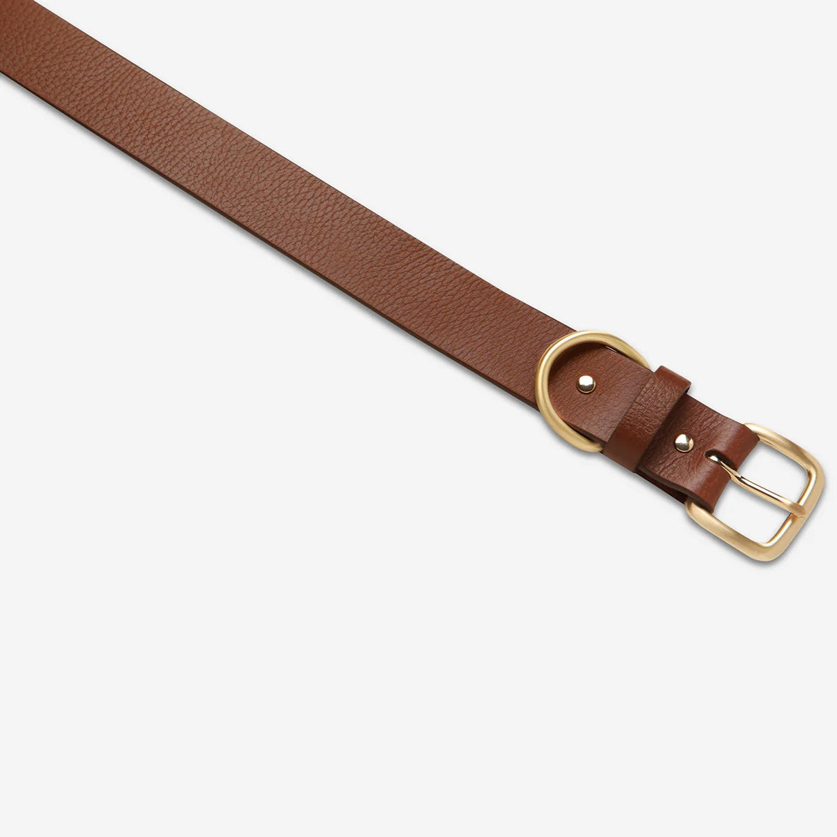 Status Anxiety Disarm Belt [SIZE:S/M COLOUR:Tan/gold]